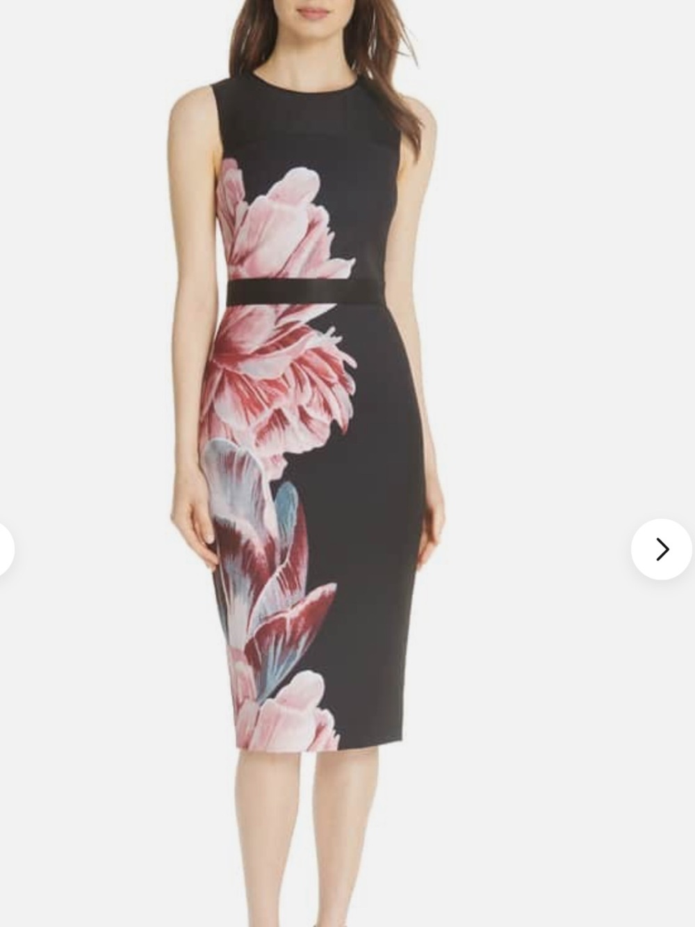 Ted Baker Xanadu Tranquility Sheath Dress Size 0
